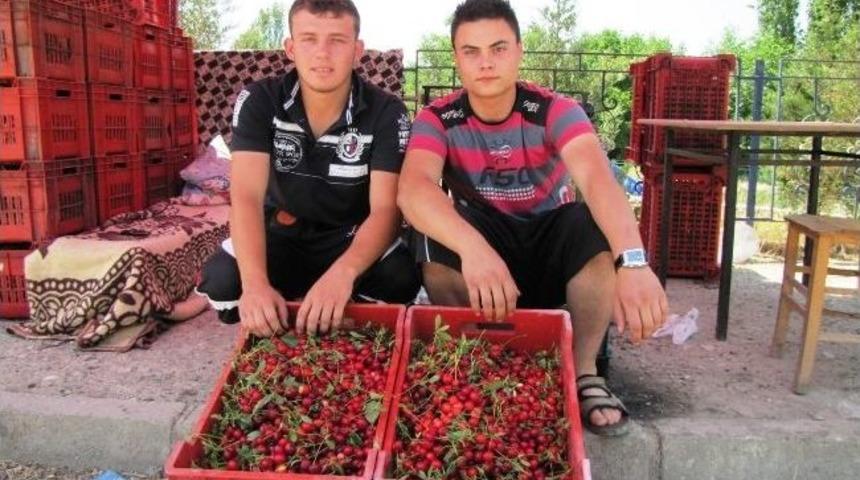 Hisarcık&rsquo;ta Vişne Alımları Başladı