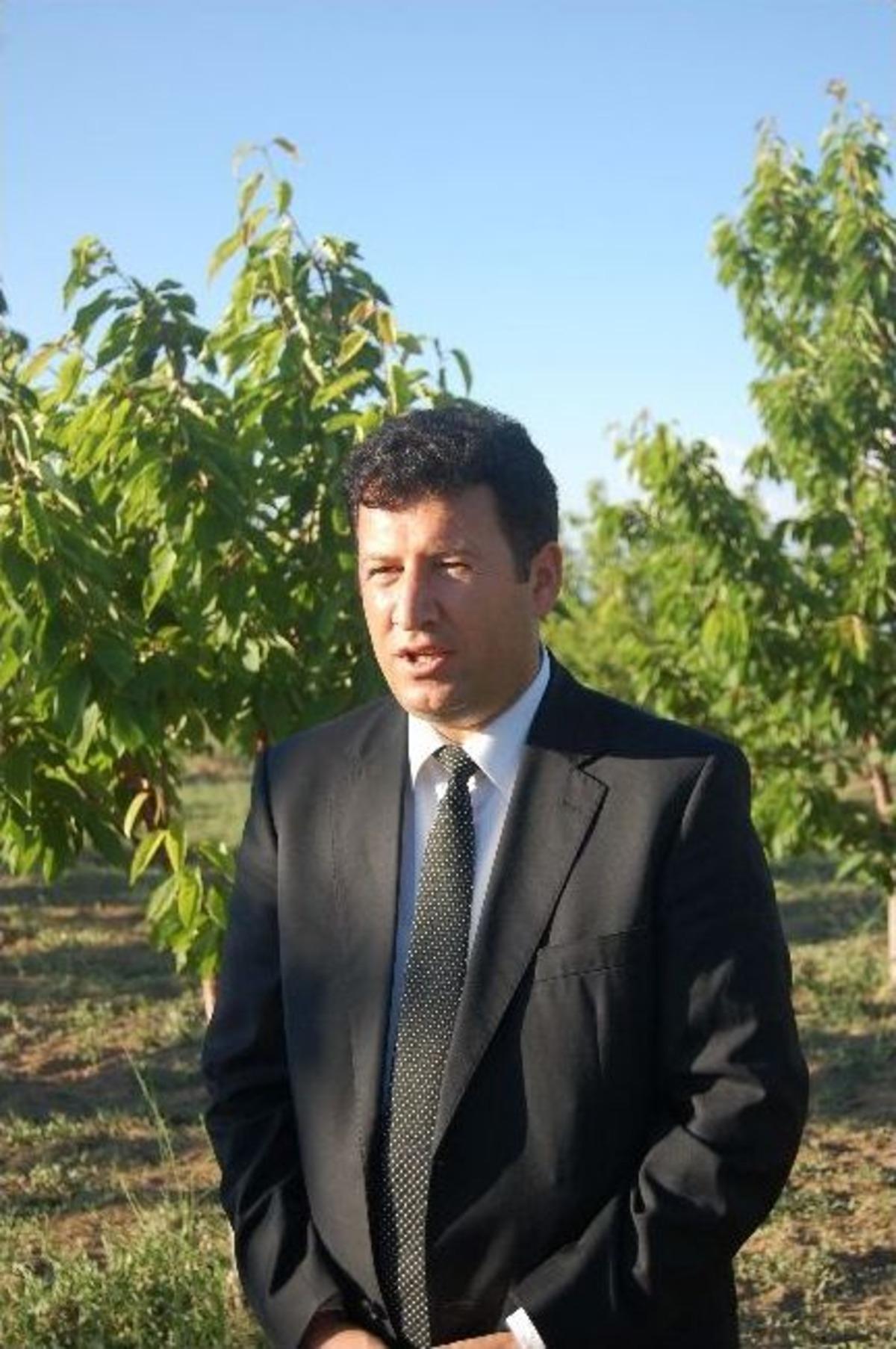 İzmir&rsquo;den Gelip Bitlis&rsquo;te Kiraz Yetiştiriyor