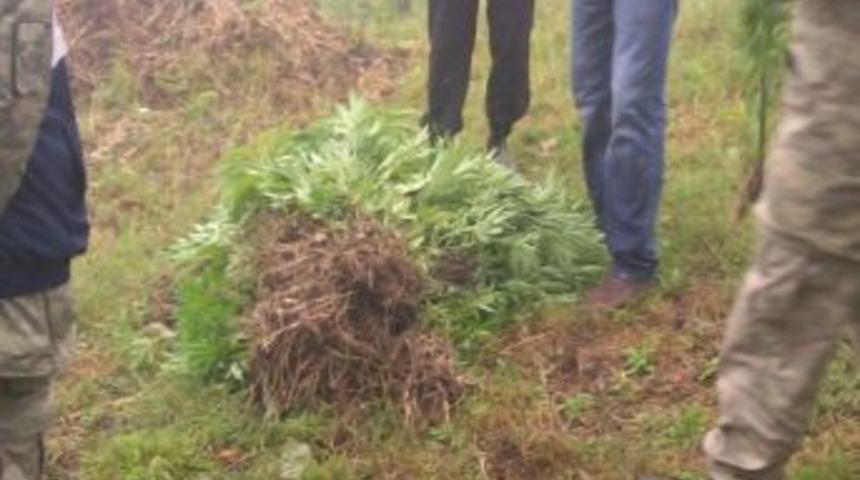 4 İlde Eş Zamanlı Uyuşturucu Operasyonu