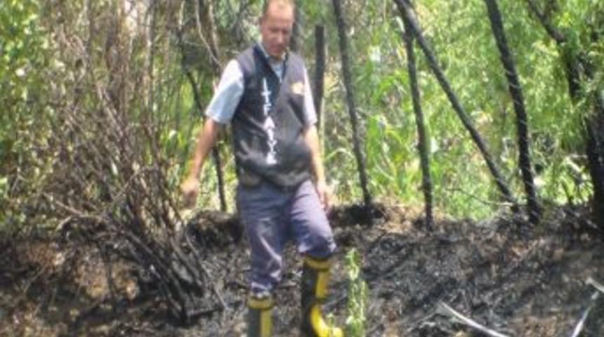 Sigara İzmaritinden &Ccedil;ıkan Yangın Bah&ccedil;eyi K&uuml;l Etti