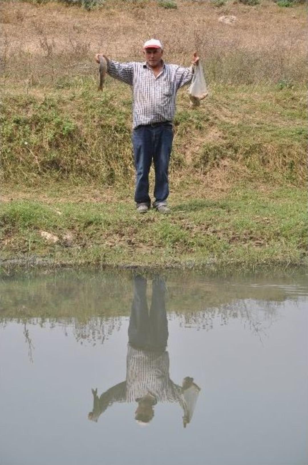 Fabrika Atığı Dereleri Kirletip Balıkları &Ouml;ld&uuml;rd&uuml;