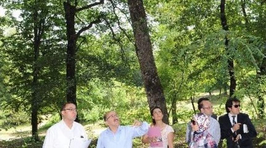 Botanik Park, Trabzon&rsquo;un Marka Değerini Artıracak