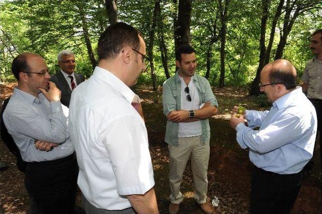 Botanik Park, Trabzon’un Marka Değerini Artıracak