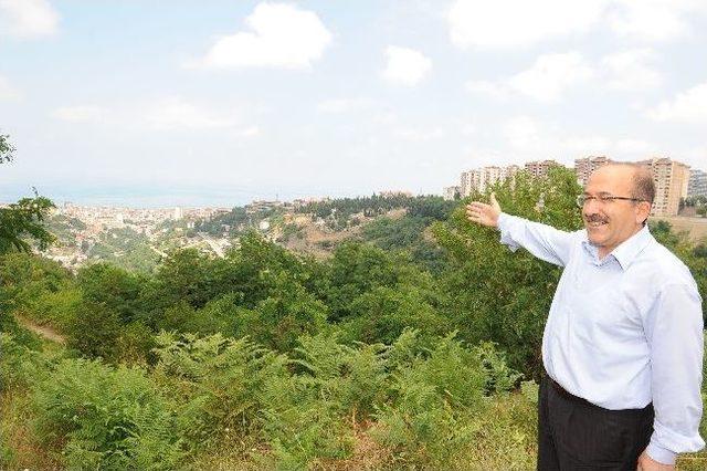 Botanik Park, Trabzon’un Marka Değerini Artıracak