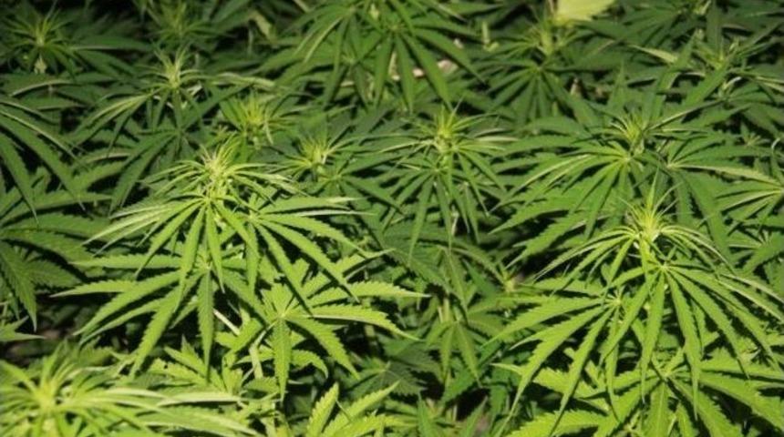 Emniyetten Uyuşturucu Operasyonu