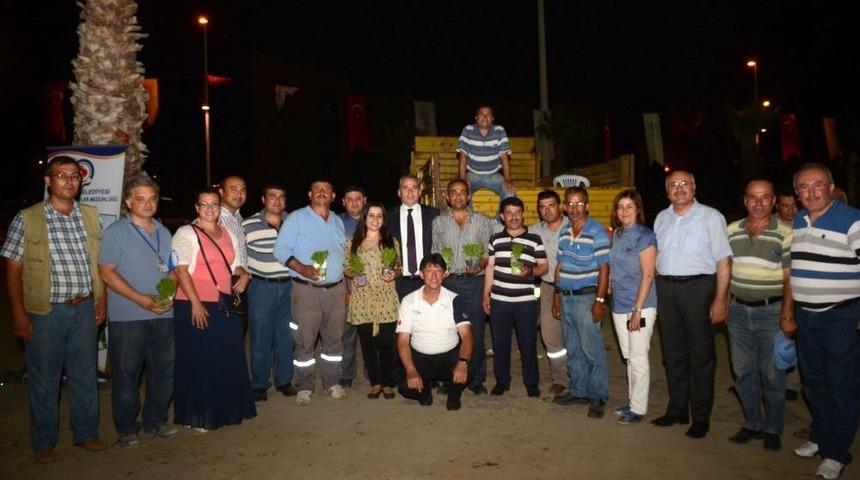 Denizli Belediyesi, 22 Bin &Uuml;cretsiz Fesleğen Dağıttı