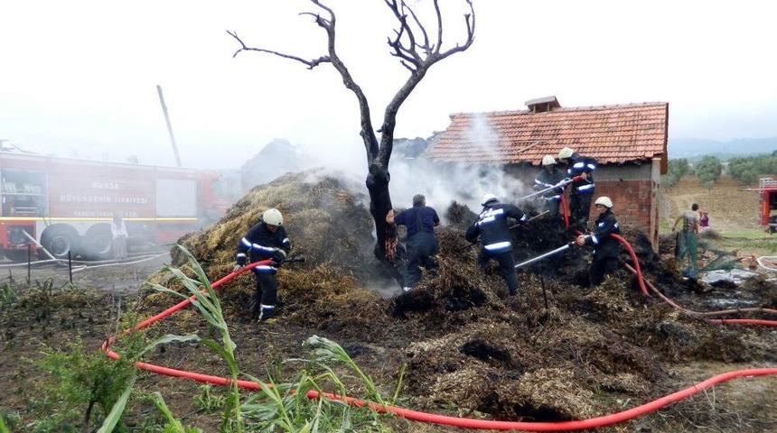 Ahır Yangınında 3 B&uuml;y&uuml;kbaş Hayvan Telef Oldu