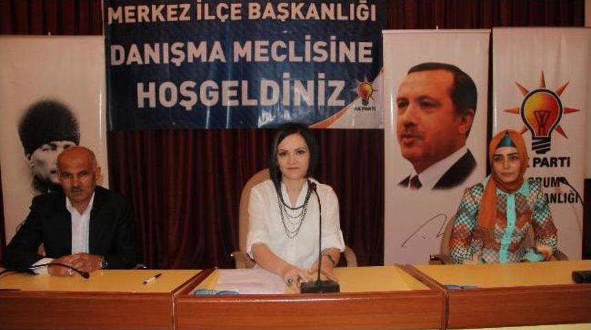 Ak Parti Merkez İl&ccedil;e Danışma Meclisi Toplantısı