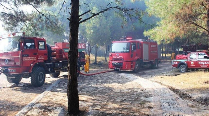 Osmaniye&rsquo;deki Tarihi Kalede Yangın