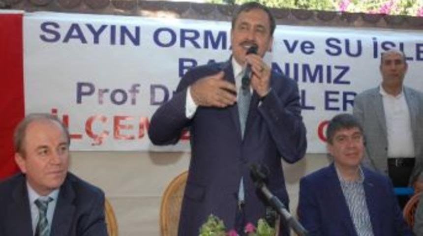 Bakan Eroğlu, Havadan Orman Sahalarını İnceledi