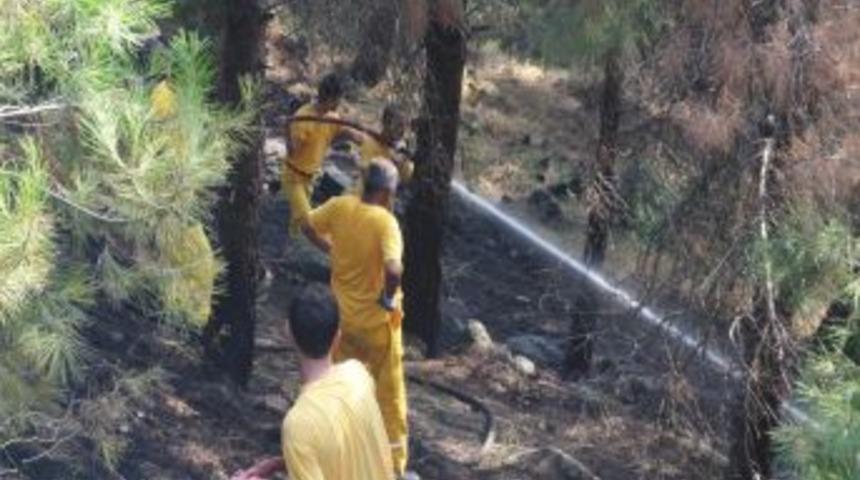 Tarihi Kale Etrafında Yangın &Ccedil;ıktı