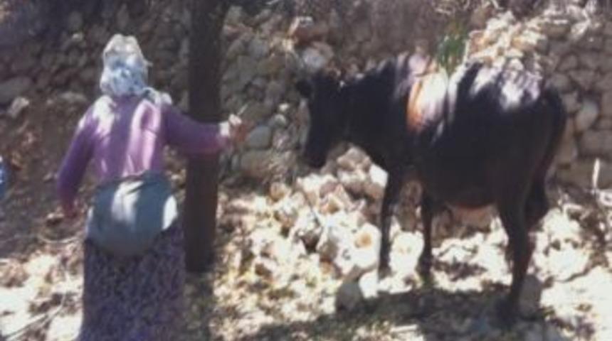 Matador K&ouml;yl&uuml;ler