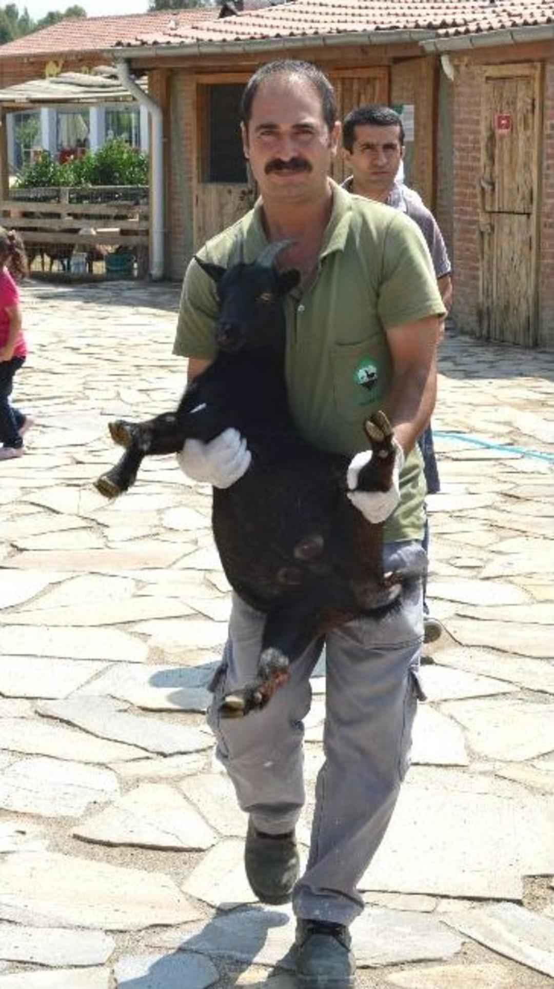 &Uuml;niversiteli Oldular