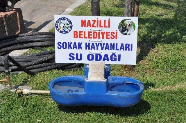 Hayvanseverler Bu Habere Sevinecek 1