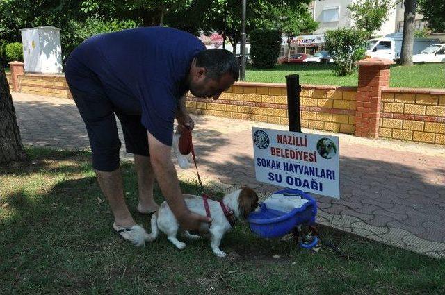 Hayvanseverler Bu Habere Sevinecek 3