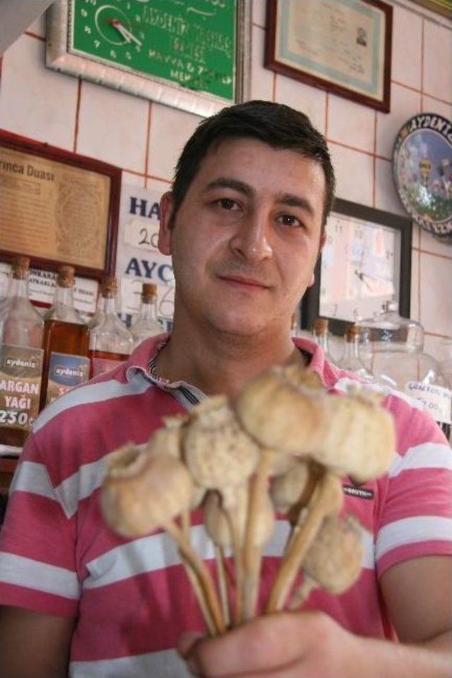 Afyon Haşhaşı Hint Ve Afgan Yemeklerini S&uuml;sl&uuml;yor 1