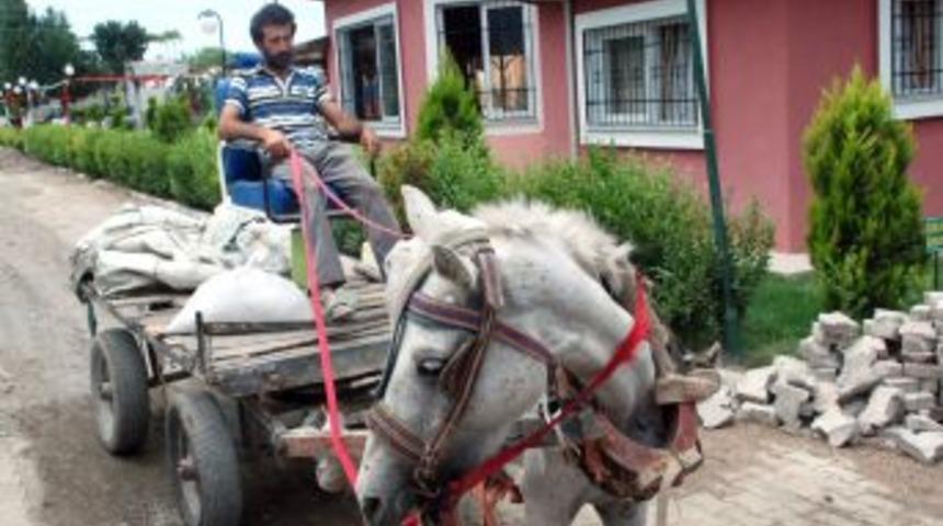 At Arabasına Berber Koltuğu Taktı