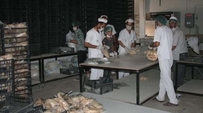 Reyhanlı'dan Suriye'ye G&uuml;nde 60 Bin Ekmek