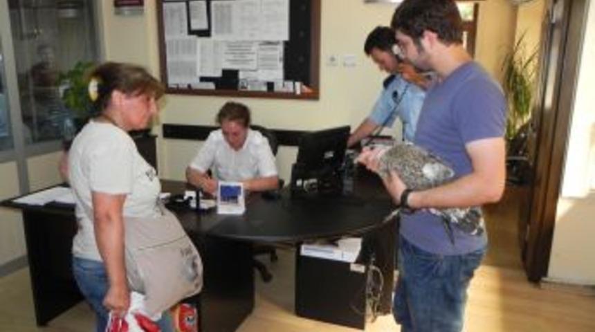 Yaralı Martılara Belediye Sahip &Ccedil;ıktı