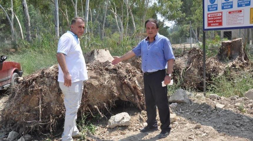 Tarsus'ta Hayvanat Bah&ccedil;esi Yapımı I&ccedil;in Ağa&ccedil; Kesildiği Iddiası