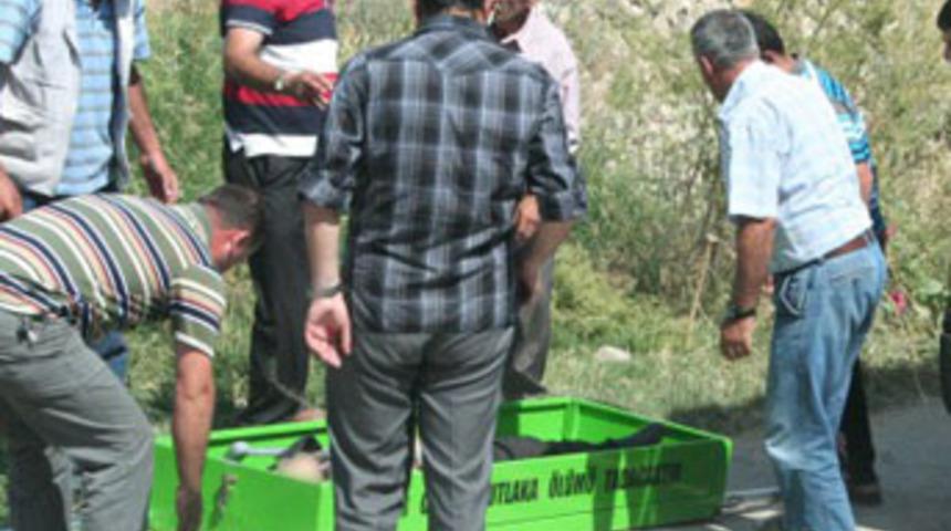 Sıcak hava can aldı