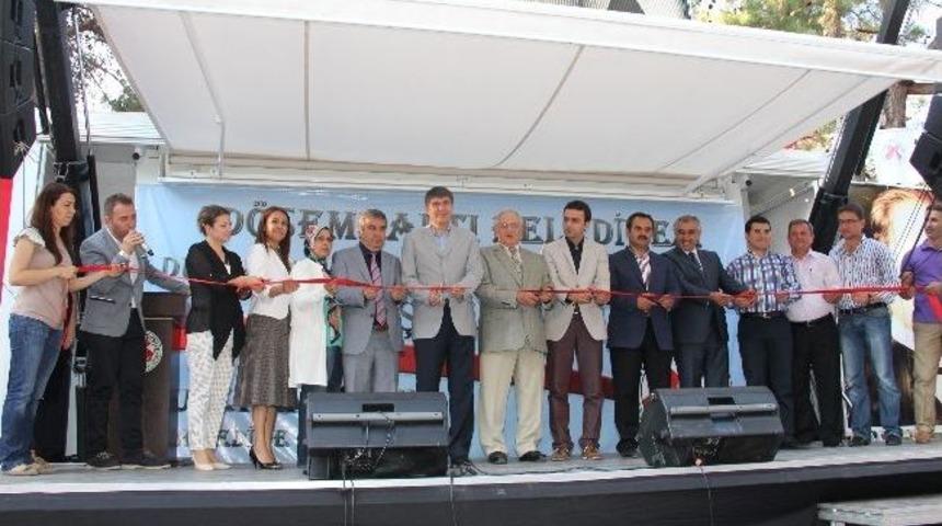 D&uuml;zler&ccedil;amı Mesire Alanı A&ccedil;ıldı