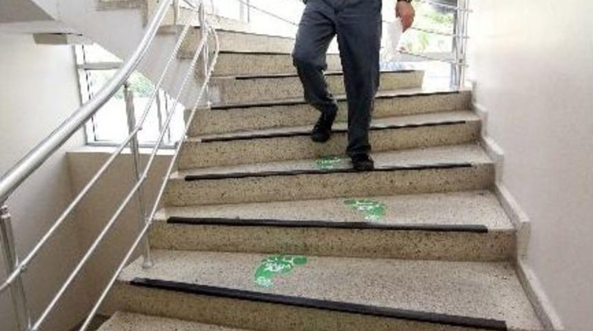 Daha Az Enerji Kullanımı İ&ccedil;in &ldquo;yeşil Adım&rdquo;lar