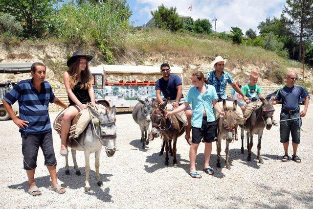 Turistlerin Gözdesi Eşek Safari