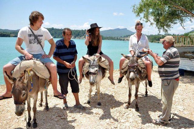 Turistlerin Gözdesi Eşek Safari