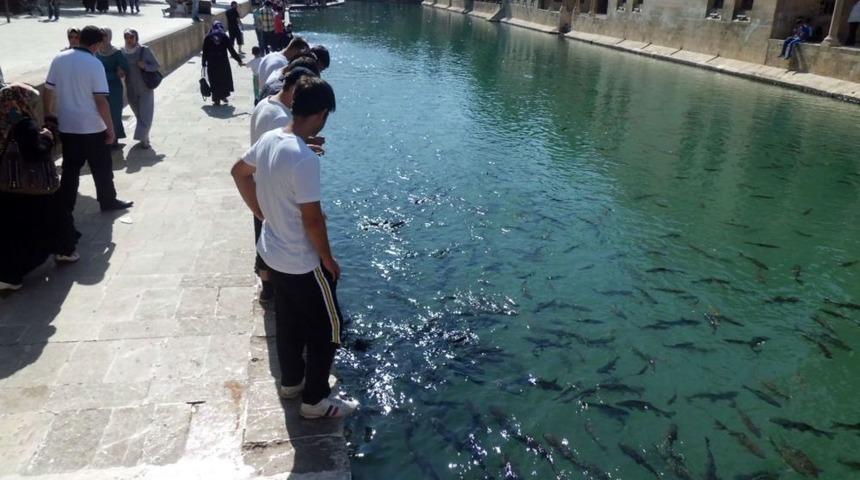 Niğdeli Gen&ccedil;ler, Şanlıurfa&rsquo;da