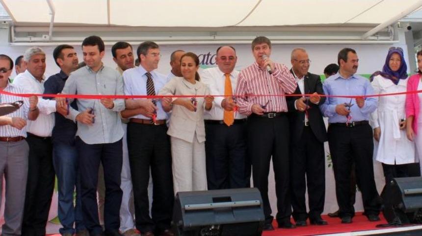 T&uuml;rel:Ne Zaman &Uuml;lkede G&uuml;zel Işler Olsa Karanlık G&uuml;&ccedil;ler Devreye Giriyor