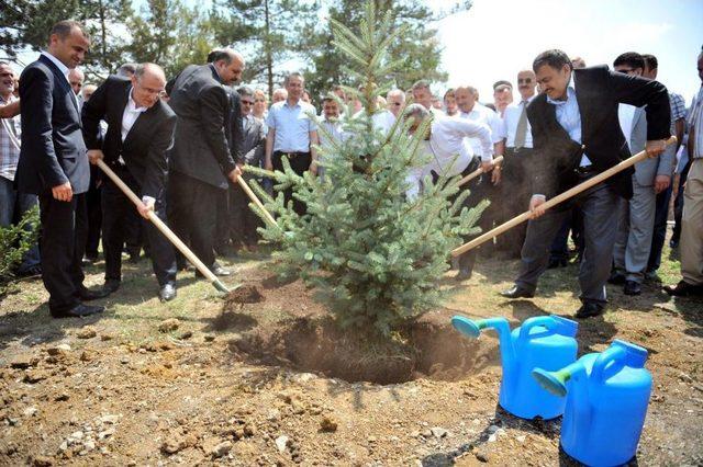 Bakan Eroğlu Abant ta 1