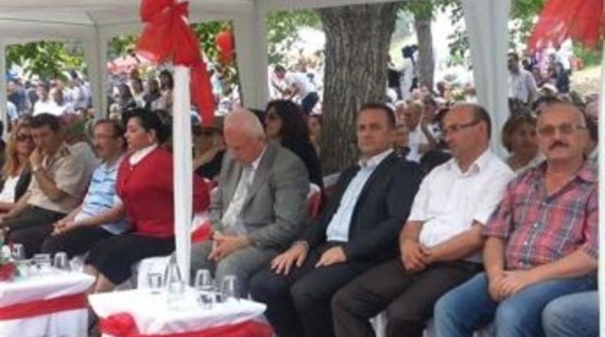 &Ccedil;ilek Festivali, coşkusu