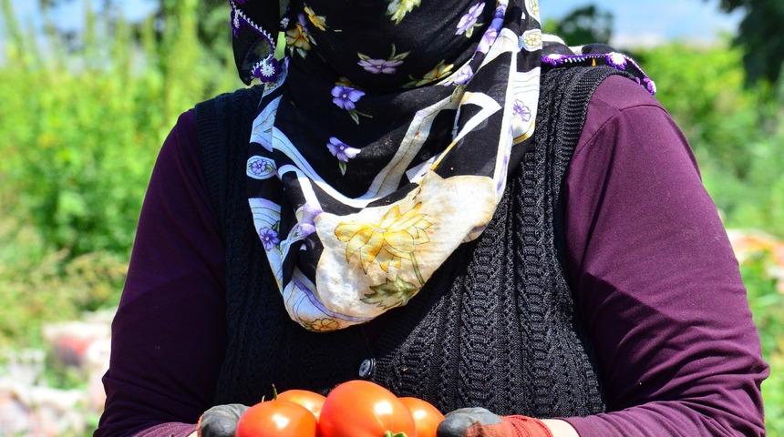 Domatesi virüs vurdu, fiyatlar yükseldi