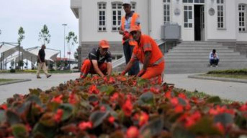 Yalova'ya 400 Bin &Ccedil;i&ccedil;ek