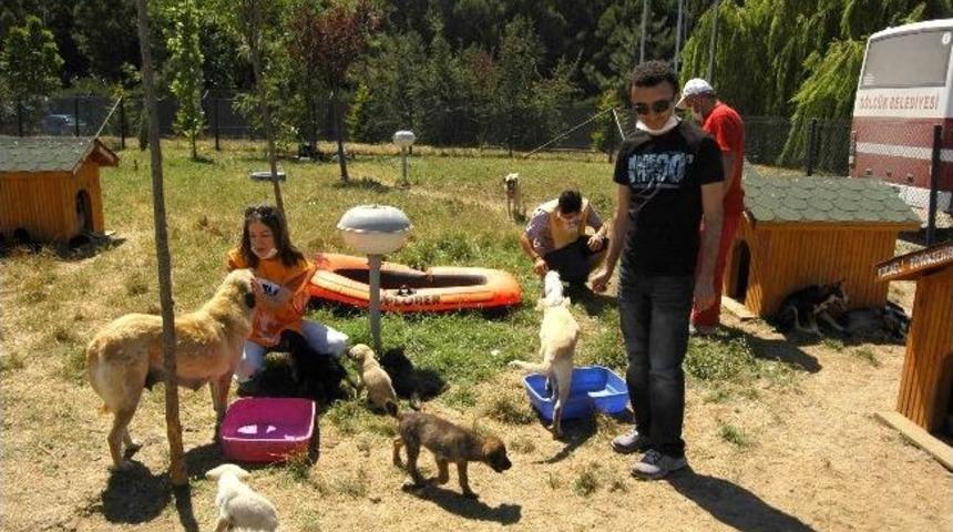 Hayvan Barınağı'na Ziyaretler Gelenek Oldu