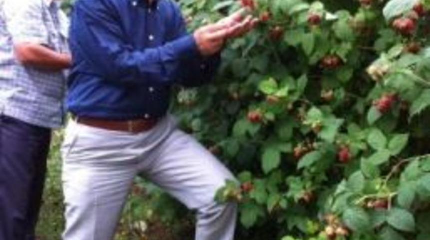 Vali Harput Ahududu Bah&ccedil;elerini Gezdi