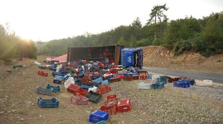 Boş Kiraz Kasası Taşıyan Kamyon Devrildi: 2 Yaralı