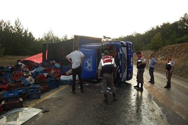 Boş Kiraz Kasası Taşıyan Kamyon Devrildi: 2 Yaralı