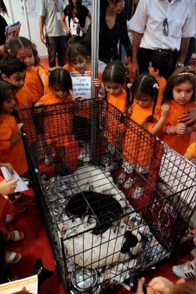 Pet Shop A&ccedil;acaklara Eğitim 1
