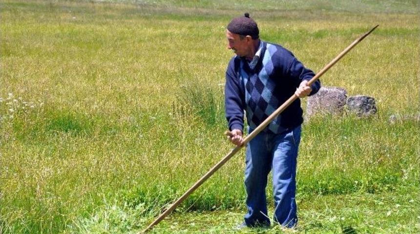 Sivaslı &Ccedil;ift&ccedil;ilerin Ot Bi&ccedil;me Telaşı