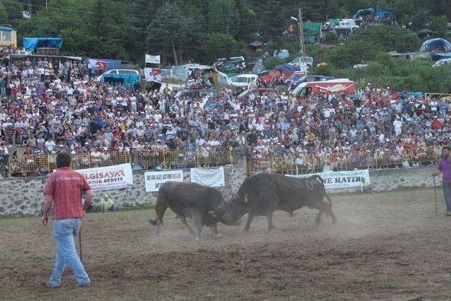 Kafkasör Kültür, Sanat Ve Turizm Festivali Sona Erdi