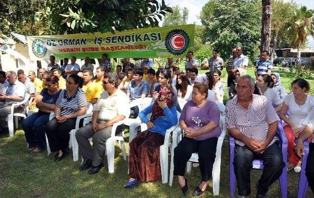 Ölen Orman İşçisinin Kaza Sigorta Bedeli Ailesine Teslim Edildi