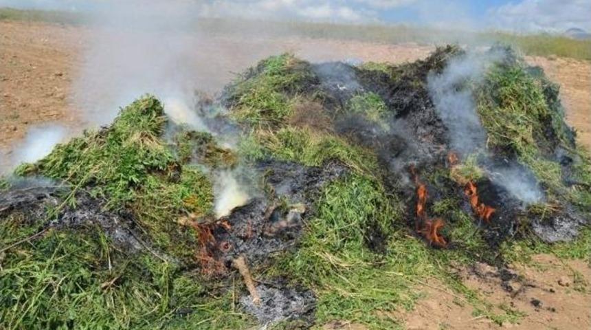 Jandarmadan Uyuşturucu Tacirlerine Ağır Darbe