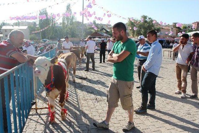 Şiran’da 4. Tomara Şelalesi Kültür Ve Turizm Festivali Yapıldı