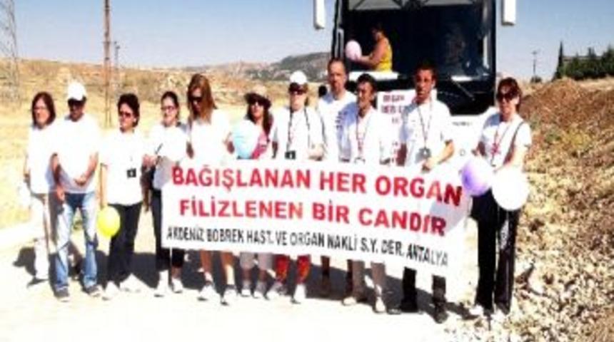 Organ Nakli Derneği &Uuml;yeleri, Adıyaman&rsquo;ı Ziyaret Etti