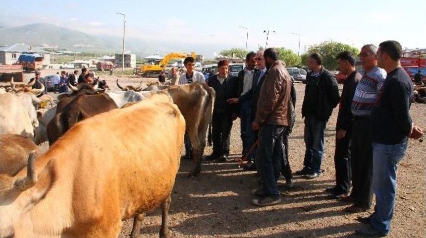 Chp Ardahan Milletvekili Ensar &Ouml;ğ&uuml;t: