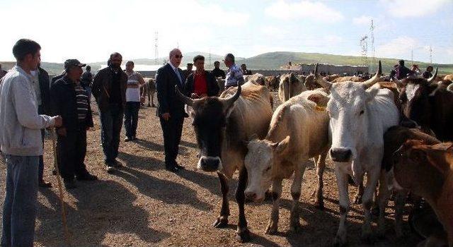 Chp Ardahan Milletvekili Ensar Öğüt: