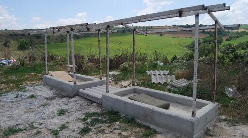 Şehir &Ccedil;&ouml;pl&uuml;ğ&uuml;nde Hayvanlara Yemek Ve Su Yalakları Yapıldı