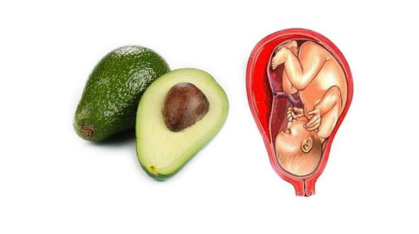 Bol bol yemek lazım: Benzedikleri organa iyi geliyorlar!